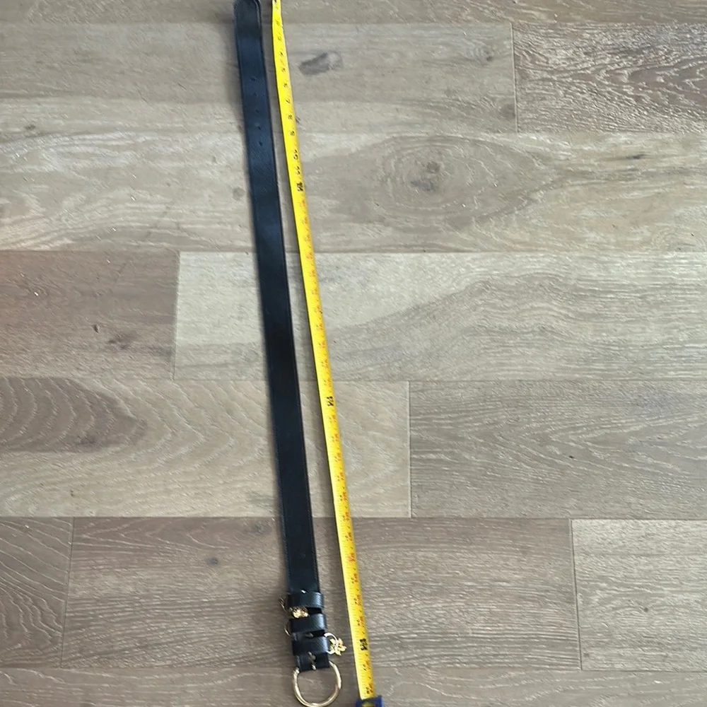 Elegant Black Belt